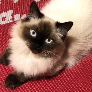 Meet your Posher, Nancy